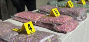 احباط محاولة ادخال أزيد من 21 ألف قرص مخدر عبر ميناء طنجة المتوسط